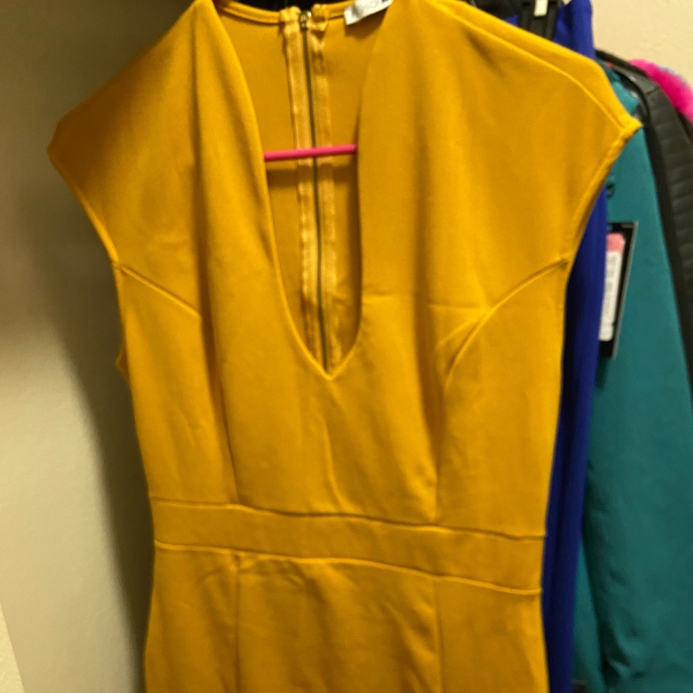 Mustard gold dress worn once for a video shoot